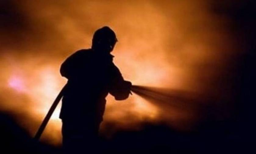 Φωτιά: Μαίνεται η φωτιά σε πευκοδάσος στην Καλαμπάκα