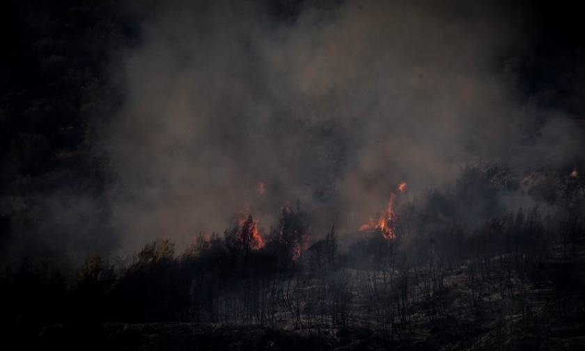 Ολονύχτια μάχη με τις φλόγες στο χωριό Μάκιστος – Η φωτιά έφτασε στις αυλές των σπιτιών (pics)
