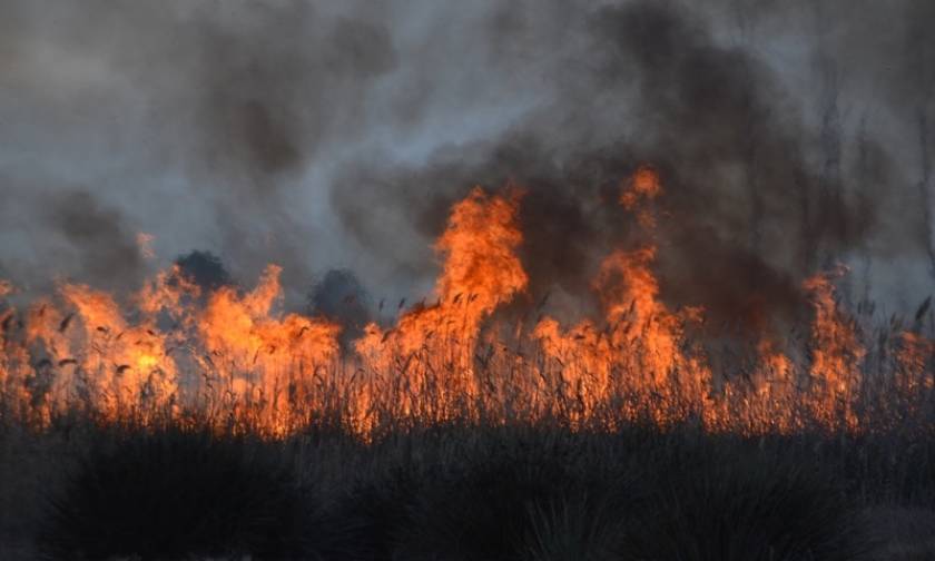 Φωτιά: Δύο νέα πύρινα μέτωπα μαίνονται σε Δράμα και Καβάλα