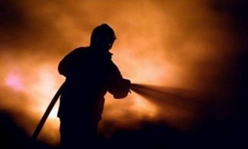 Φωτιά: Σε εξέλιξη η πυρκαγιά στα Φάρσαλα