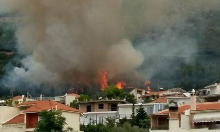 Αχαΐα: Μεγάλη φωτιά στον Ομπλό απείλησε σπίτια (vid)