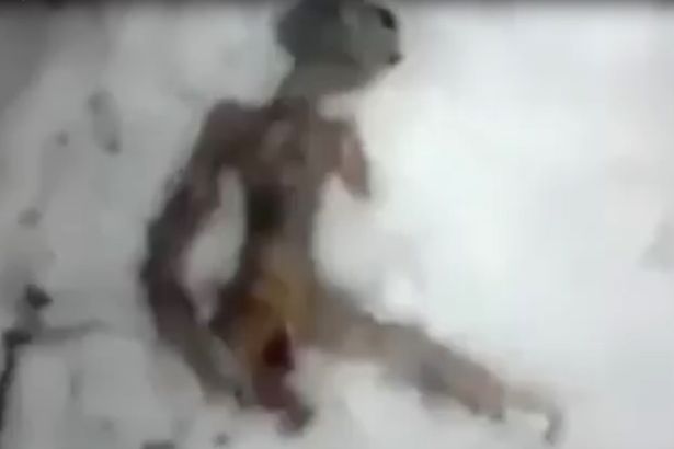 Alien corpse is found in frozen in wilderness but the truth is even more disturbing