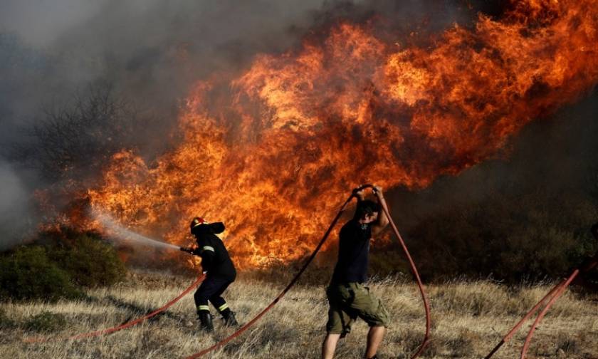 Φωτιά ΤΩΡΑ: Μεγάλη πυρκαγιά μαίνεται στην Ερμιόνη