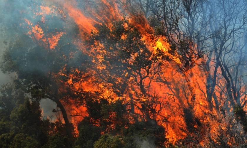 Φωτιά Τώρα: Στις φλόγες Αχαΐα, Εύβοια, Αργολίδα και Καρπενήσι