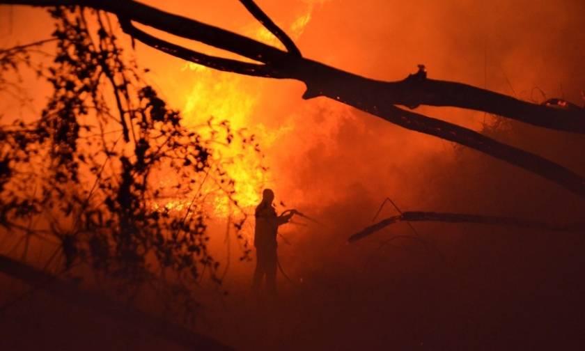 Φωτιά ΤΩΡΑ στην Αχαΐα - Καίγεται η Καλόγρια