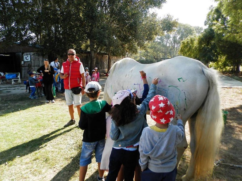Σάλος με παιδικό σταθμό στη Θεσσαλονίκη: Έβαλαν παιδιά να ζωγραφίσουν πάνω σε άλογα! (pics)