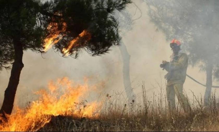Μεγάλη φωτιά ΤΩΡΑ στην Ηλεία απειλεί οικισμό