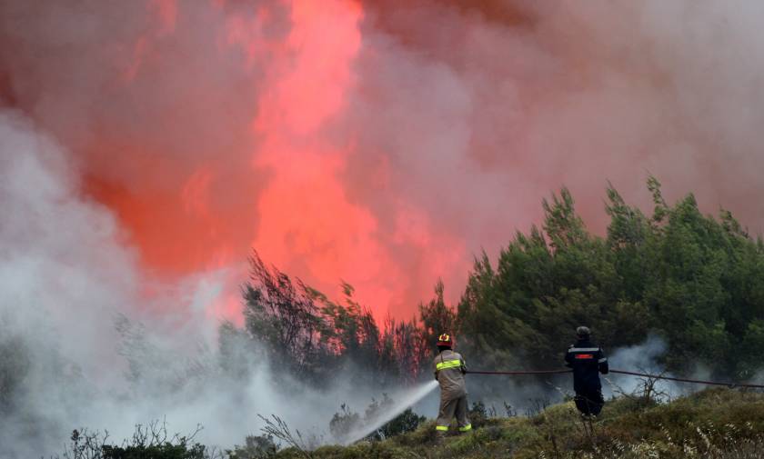 Φωτιά Ηλεία: Συνεχίζει να καίει τη Νεμούτα η πυρκαγιά