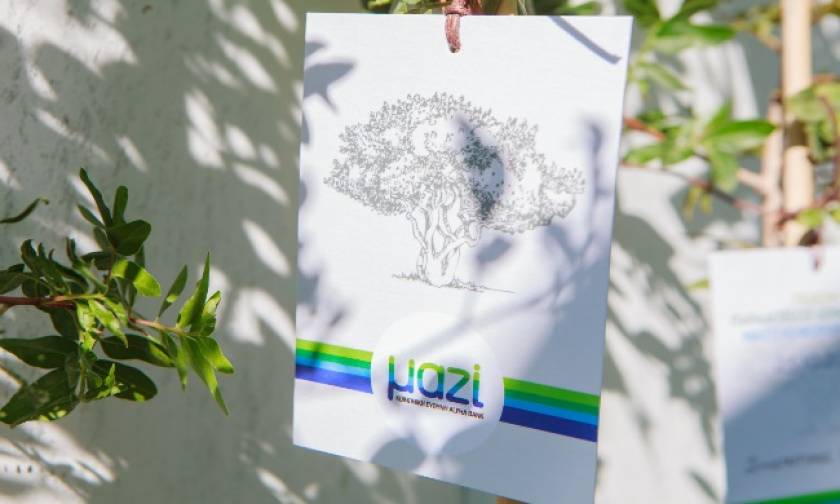 H Alpha Bank στηρίζει το έργο της Ένωσης Μαστιχοπαραγωγών Χίου για να ζωντανέψουν τα μαστιχόδενδρα