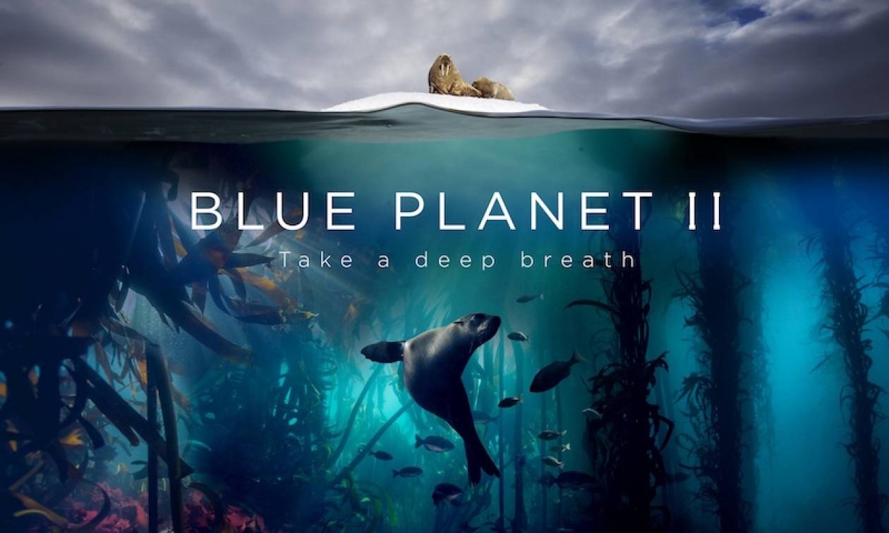 BluePlanet II: Tο πολυαναμενόμενο ντοκιμαντέρ του BBC Earth κάνει πρεμιέρα αποκλειστικά στην COSMOTE