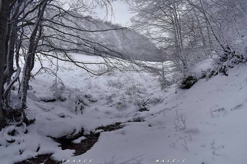 Καιρός Live: Χιόνισε σε Φλώρινα, Κοζάνη, Καστοριά – Δείτε βίντεο και φωτογραφίες