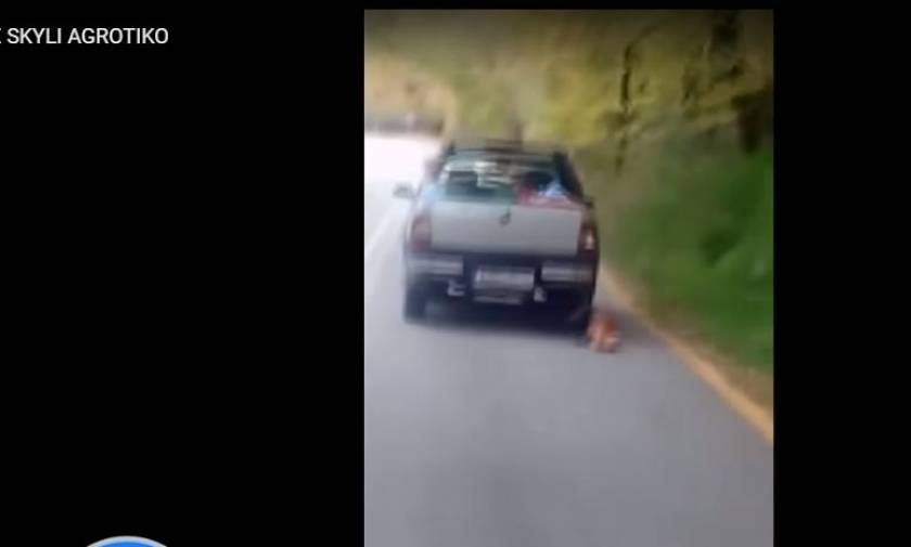 Προσοχή σκληρές εικόνες - Καλάβρυτα: Οδηγός έχει δέσει το σκύλο του στο αγροτικό και τον σέρνει