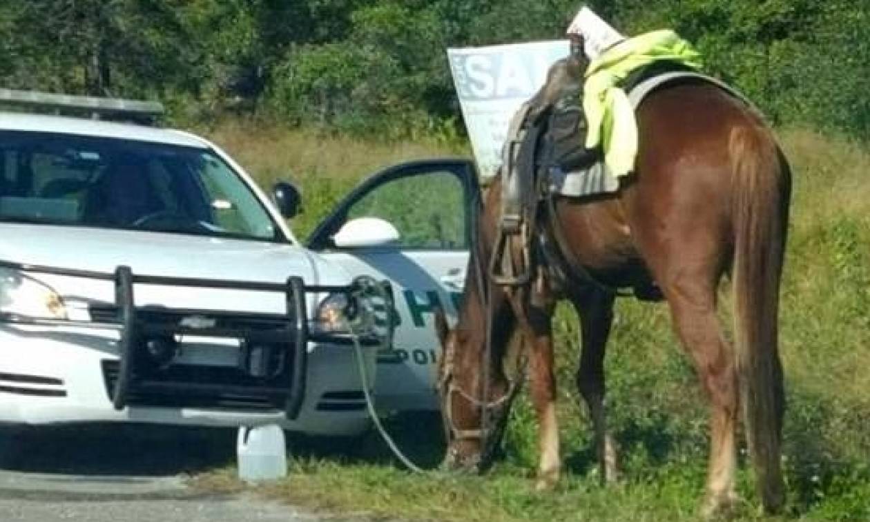 ΗΠΑ: Συνελήφθη 59χρονη επειδή οδηγούσε μεθυσμένη... ένα άλογο!