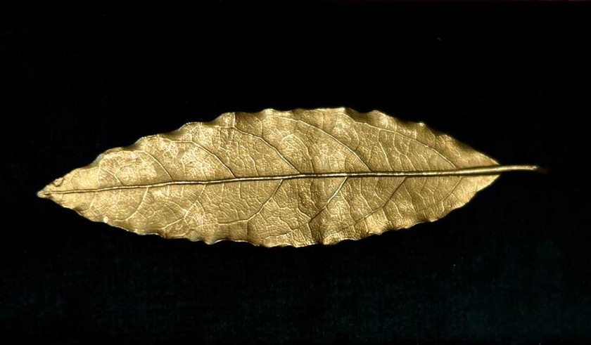 Απίστευτο: Αστρονομικό ποσό για ένα χρυσό φύλλο από το στέμμα του Ναπολέοντα (Pics+Vid)