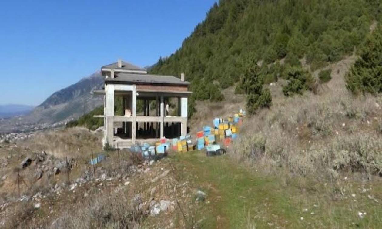 Σε απόσταση αναπνοής από τα Ιωάννινα οι αρκούδες: Κατέστρεψαν μελισσοκομική μονάδα στην Αμφιθέα