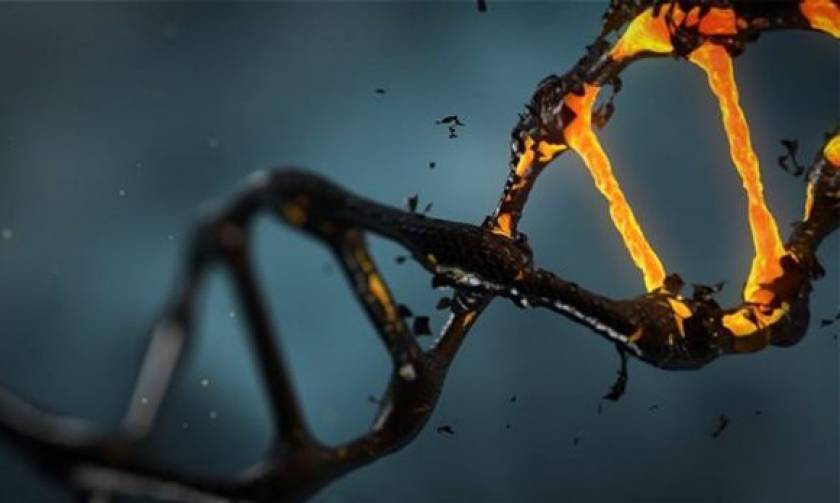 DNA: Το γενετικό αλφάβητο μόλις μεγάλωσε κατά 50%