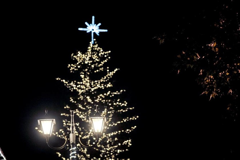 Χριστούγεννα 2017: Φωταγωγήθηκε το ψηλότερο φυσικό δέντρο της Ελλάδας - Εντυπωσιακές εικόνες