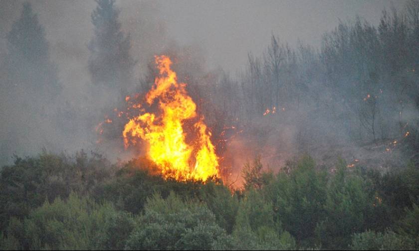 Κρήτη: Πυρκαγιά σε εξέλιξη στην Ιεράπετρα