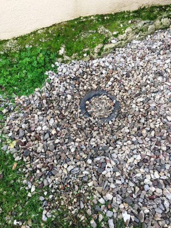Πάτρα: Έκρυβε περισσότερα από 2,5 κιλά κάνναβης στην αυλή του σπιτιού του