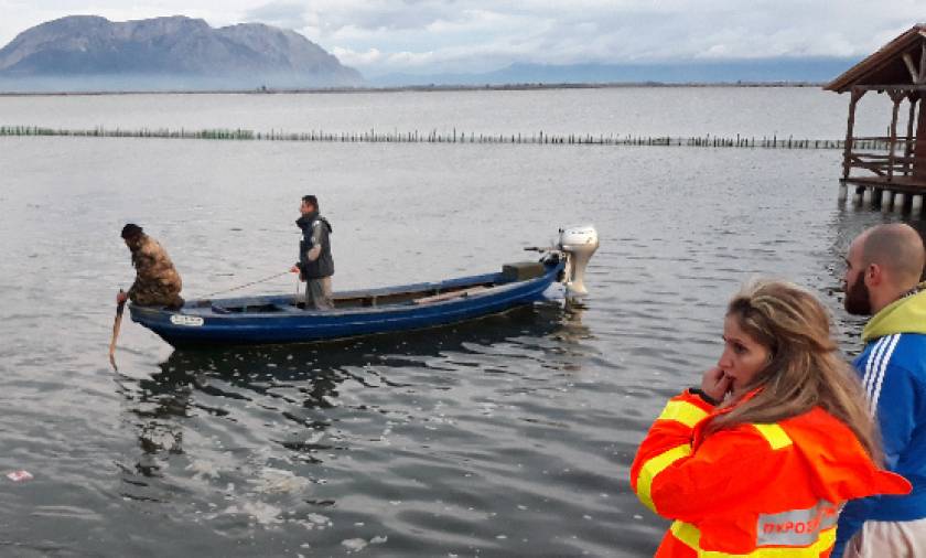 Τραγωδία στο Μεσολόγγι: Όχημα παρέσυρε ψαρά και έπεσε στη θάλασσα - Νεκρός ο οδηγός