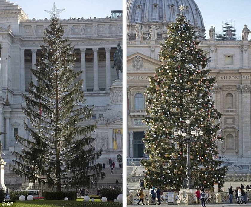 Ιταλία: Χαμός με το χριστουγεννιάτικο δέντρο της Ρώμης! (pics)