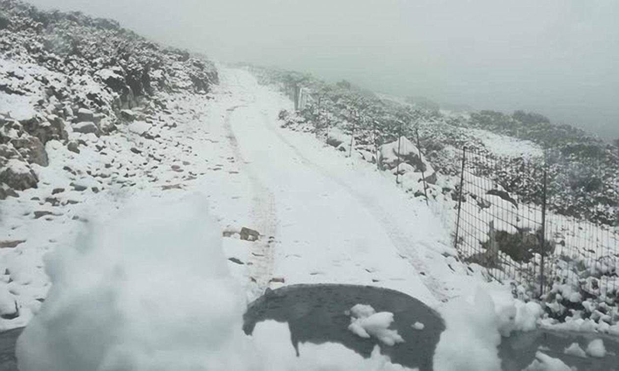 Ο χιονιάς «χτύπησε» την Ελλάδα: Σφοδρές χιονοπτώσεις - «Μάχη» για να κρατηθούν ανοιχτοί οι δρόμοι