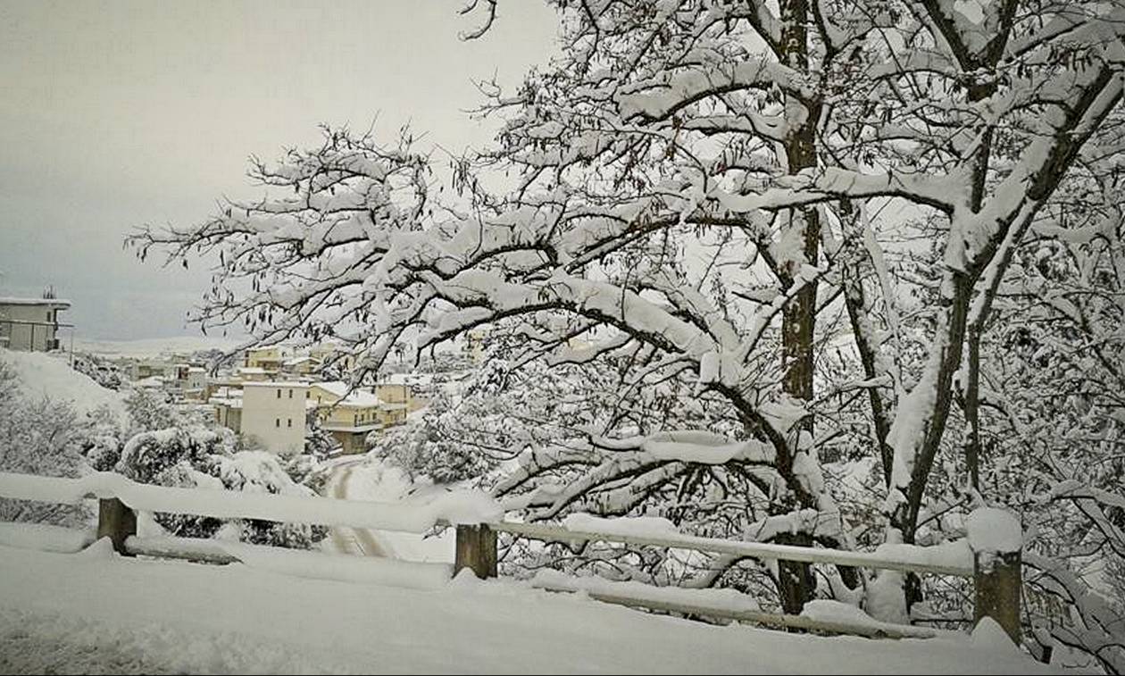 Καιρός: Χιονίζει στα βόρεια προάστια της Αθήνας - Παγωνιά σε όλη τη χώρα