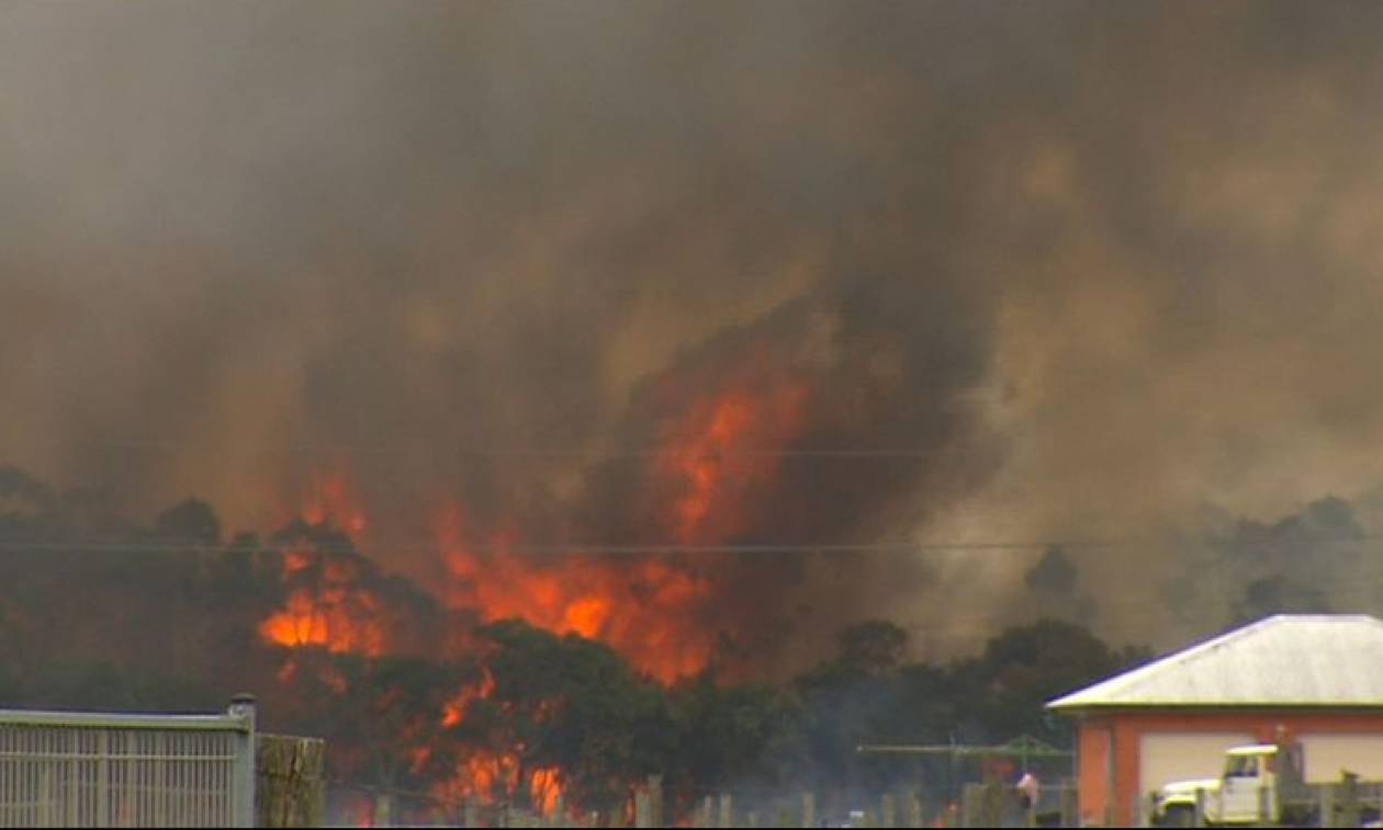 Αυστραλία: Έκλεισε το αεροδρόμιο του Νιούκαστλ εξαιτίας των πυρκαγιών (vids)