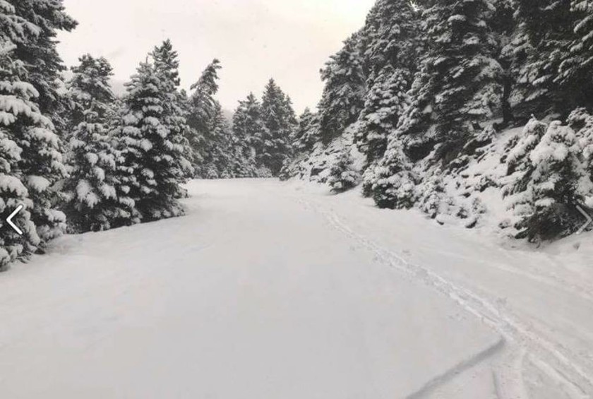 Δρόμος προς το Χιονοδρομικό Κέντρο Παρνασσού