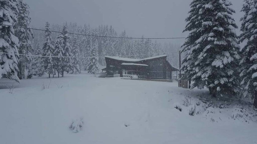 Πυκνή χιονόπτωση από τα ξημερώματα στο Χ.Κ Περτουλίου - Το χιόνι ξεπερνάει τα 30 εκ.