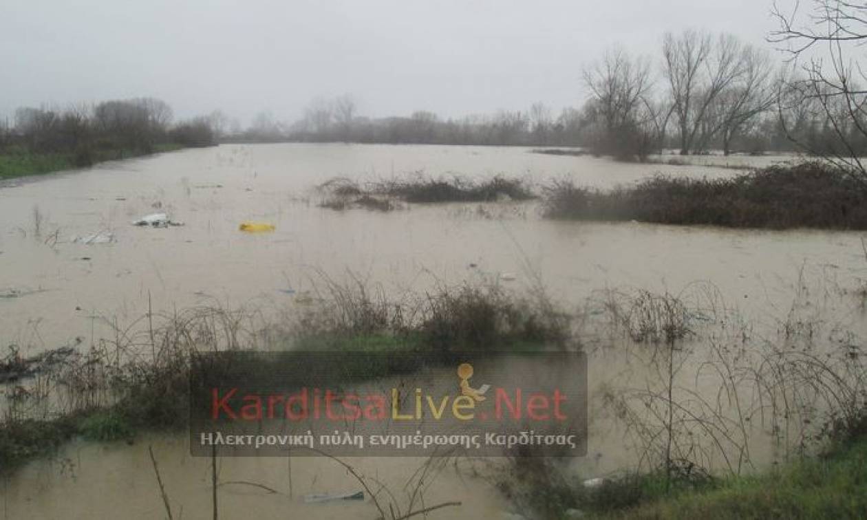 Κακοκαιρία - Καρδίτσα: Εκκένωση οικισμού λόγω υπερχείλισης ποταμού (vid)