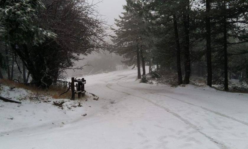 Καιρός τώρα - Χιονίζει στην Πάρνηθα – Δείτε LIVE εικόνα
