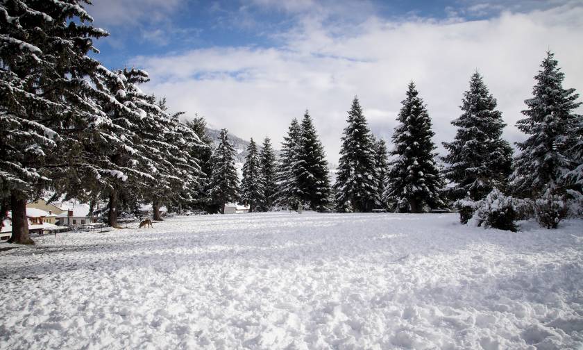 Καιρός ΤΩΡΑ: Κύμα ψύχους «σαρώνει» τη χώρα - Πού θα χιονίσει τις επόμενες ώρες (pics&vids)