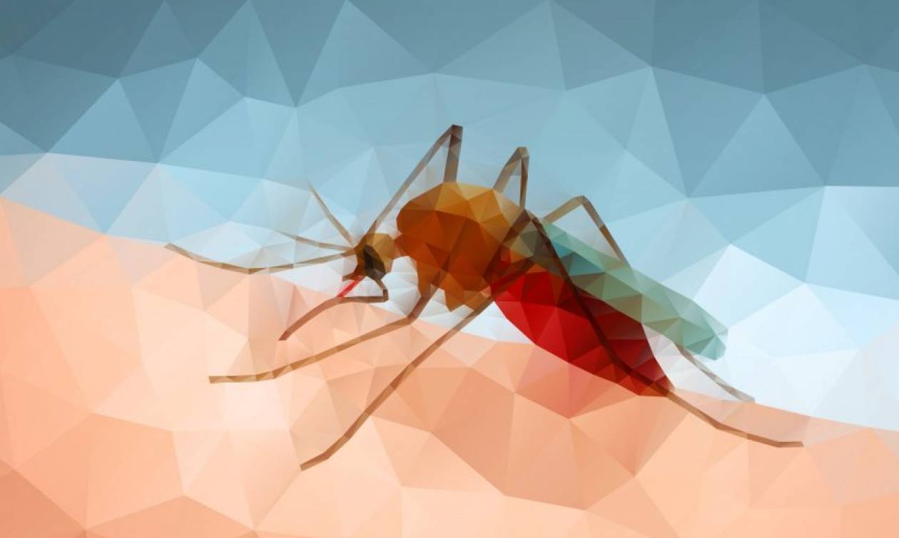 Επιστημονική έρευνα αποκαλύπτει: Αυτό είναι το απόλυτο «κόλπο» για να μη σας τσιμπάνε τα κουνούπια