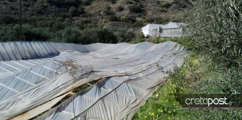 Ιεράπετρα: Τεράστια καταστροφή στις καλλιέργειες από την κακοκαιρία (pics)