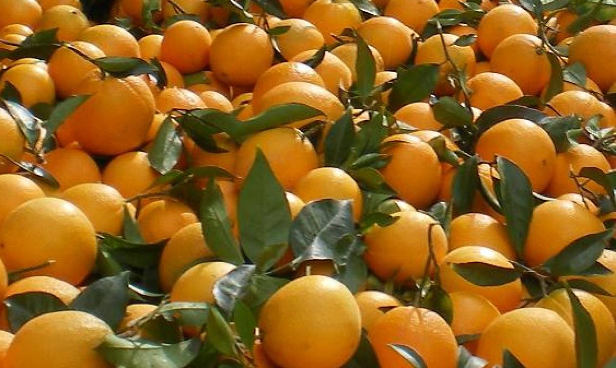 Προσοχή: Κατασχέθηκαν 10 τόνοι ακατάλληλων φρούτων στον Πειραιά