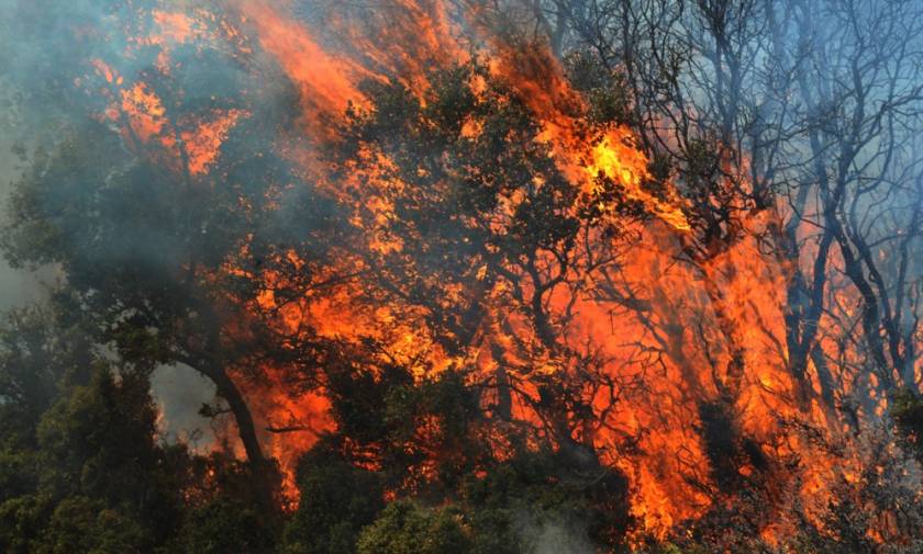 Συναγερμός στο Λασίθι: Φωτιά κοντά σε μοναστήρι