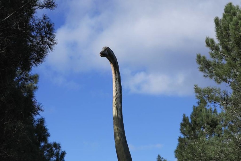 Οι δεινόσαυροι περπατούν στην... Πορτογαλία (pics)