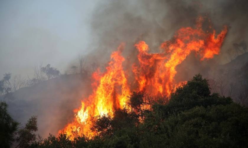 Φωτιά ΤΩΡΑ: Στις φλόγες δύσβατη περιοχή στα Χανιά