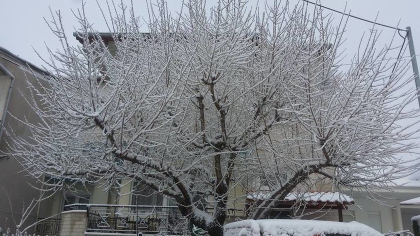 Νέα - Κοζάνη: Πανέμορφο λευκό σκηνικό στον Μεταξά (pics)
