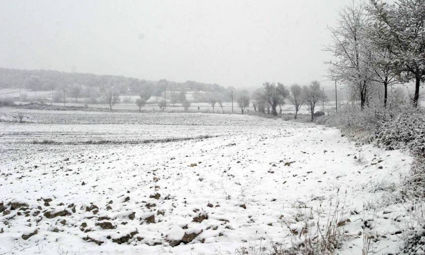 Καιρός - Κοζάνη: Άρχισε να χιονίζει στα ορεινά - Δείτε φωτογραφίες