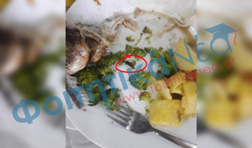 Πανεπιστήμιο Πατρών: Έπαθε ΣΟΚ ο φοιτητής - Δείτε τι βρήκε μέσα στο φαγητό της Εστίας (pic)
