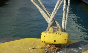 Συναγερμός στην Ελευσίνα – Έσπασαν οι κάβοι πλοίου