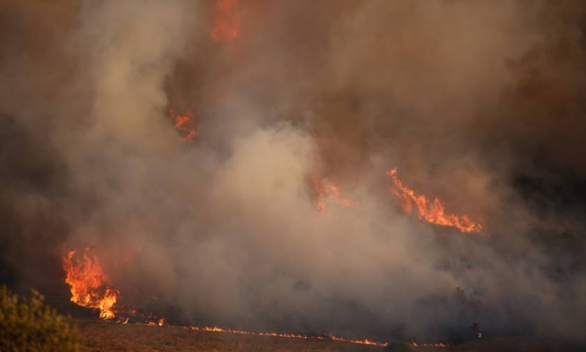 Ηράκλειο - Φωτιά ΤΩΡΑ: Πυρκαγιά μαίνεται ανεξέλεγκτη στο Φόδελε