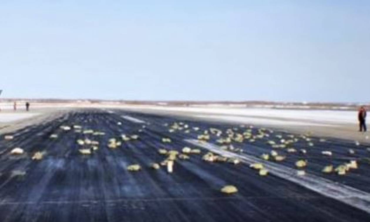 Απίστευτες εικόνες: 3,4 τόνοι χρυσού έπεσαν από αεροπλάνο! (vid)