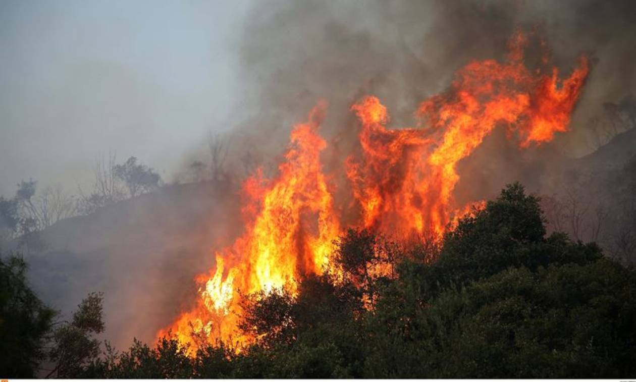 Συναγερμός: Φωτιά σε Αυλώνα και Κορινθία - Φλέγεται η Κρήτη - Πυρκαγιά κοντά σε οικισμό στην Ηλεία