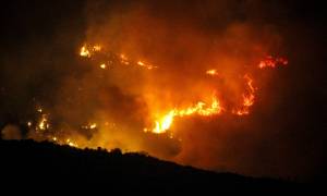 Συγκλονιστικές εικόνες από τις πυρκαγιές που σημειώθηκαν στη χώρα - 130 μέτωπα σε ένα 24ωρο (pics)