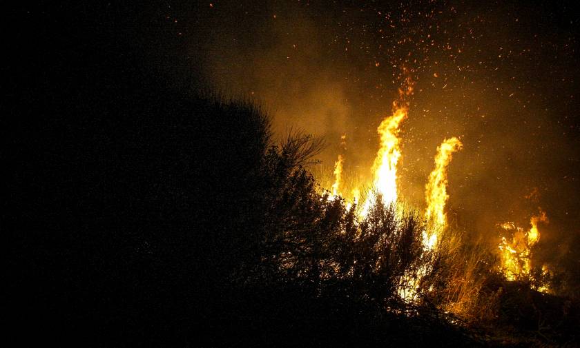 Φωτιά: Μάχη με τις φλόγες δίνει η Πυροσβεστική σε πολλές περιοχές των Χανίων