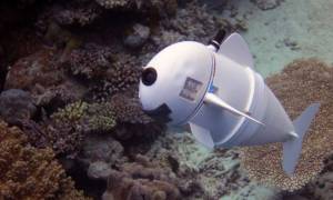 SoFi: Αυτό είναι το πρώτο ρομποτικό ψάρι που ξεγελά ακόμη και τα αληθινά (Vids)