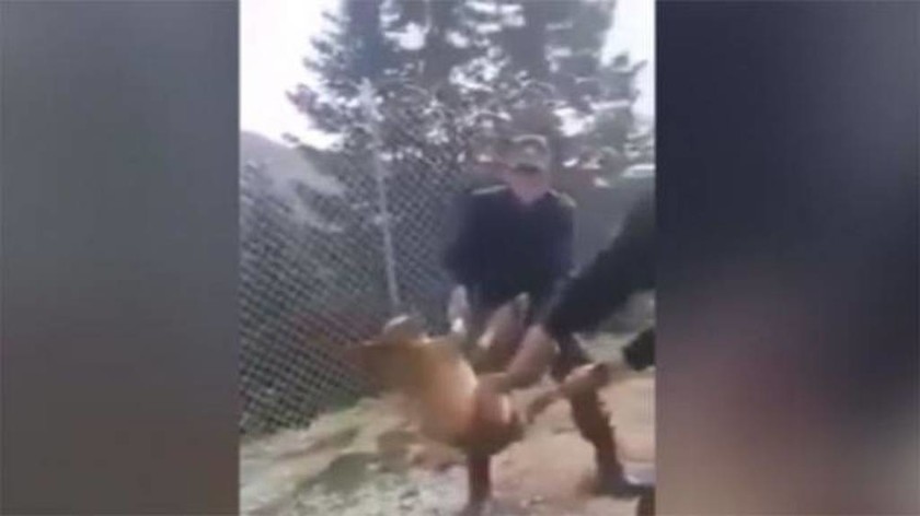Ταυτοποιήθηκαν οι οπλίτες που βασάνισαν σκύλο σε στρατόπεδο – Έξαλλος ο Καμμένος  (σκληρό βίντεο)